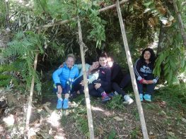 survival survival